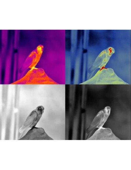 monocular termico infra td420 guide sensmart