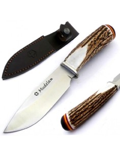 campero 95.7 b mova mango ciervo band. españa 1013