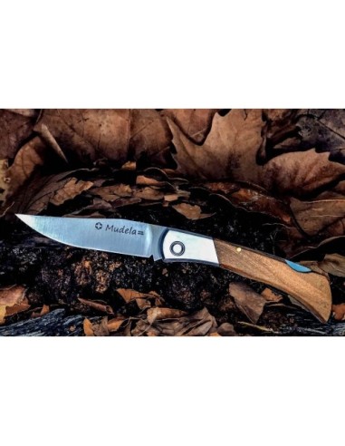 am-85.6 mova bloqueo mango olivo 2013