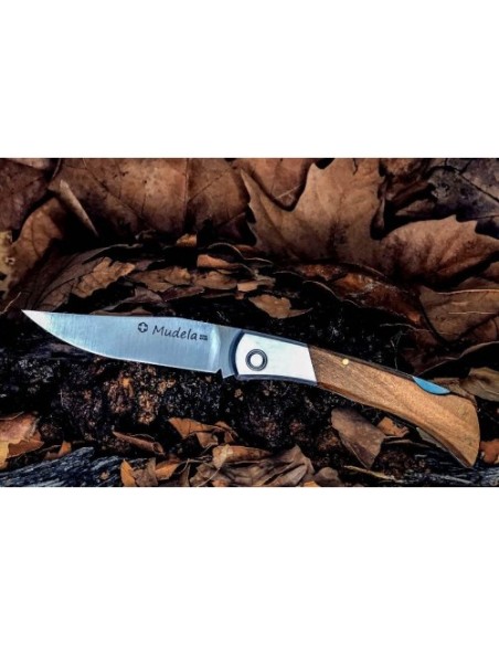 am-85.6 mova bloqueo mango olivo 2013