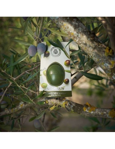 balsamo labial aceituna