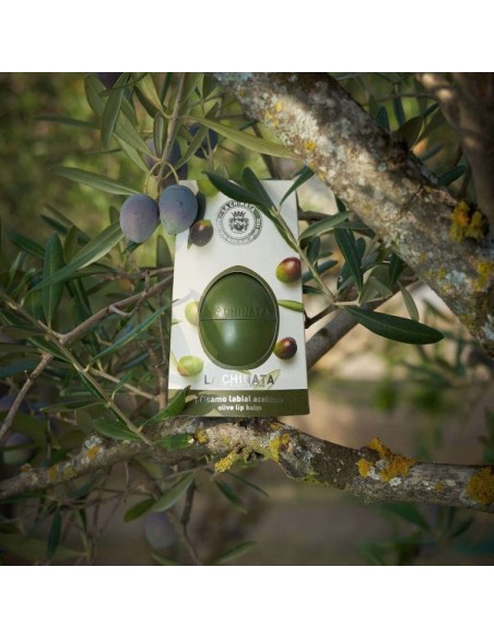 balsamo labial aceituna