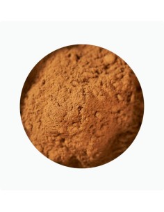 especia canela molida 2