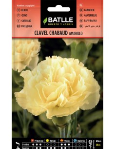 clavel chabaud amarillo
