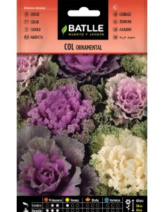 col ornamental