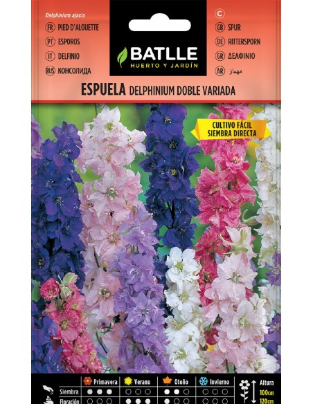 espuela-delphinium doble vda