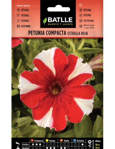 petunia compacta estrella roja