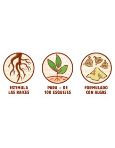 enraizante natural 50ml 2