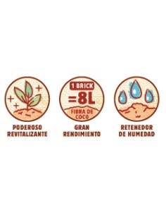 3 brick de fibra de coco 2
