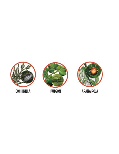 aceite mineral 250ml