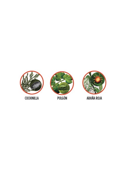 aceite mineral 250ml