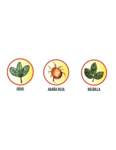 fungicida acaricida caja 500 gr 2