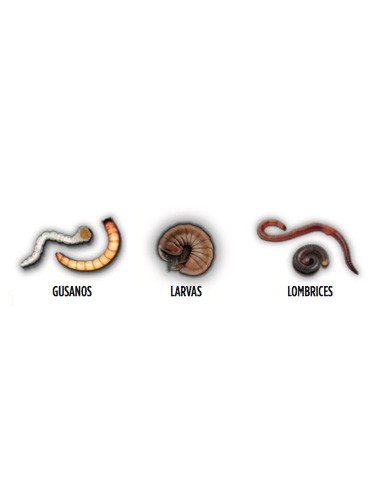 insecticida suelo talquera 500gr