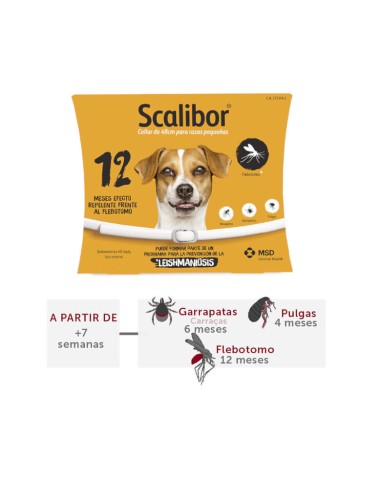 collar scalibor 48cm razas pequeñas