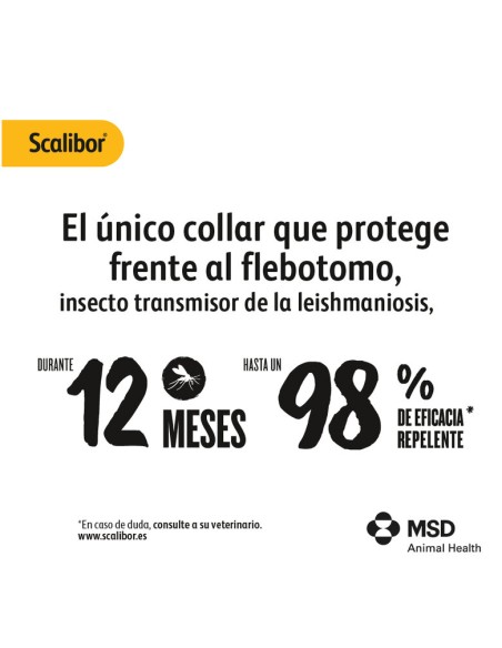 collar scalibor 48cm razas pequeñas
