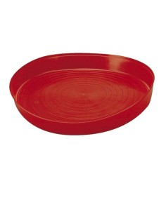 plato para pollitos comida 1 edad
