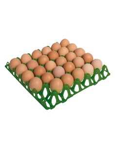 bandeja plastico para 30 huevos