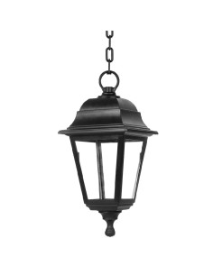 colgante exterior albahaca negro regx x 15x15cm