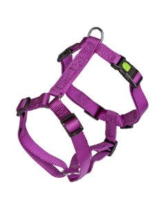 arnes miami diam. 75-100cm x 25mm violeta