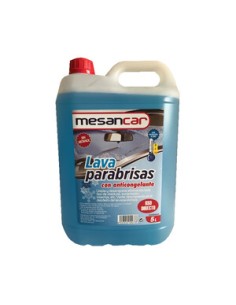 limpiaparabrisas 5l repsol wizard windscreen