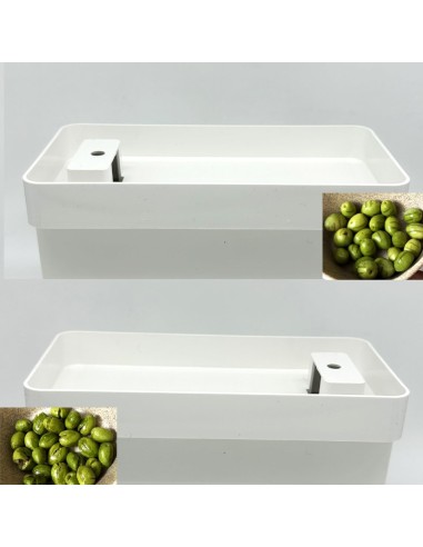 robito maquina robitoliva cortar/partir aceitunas