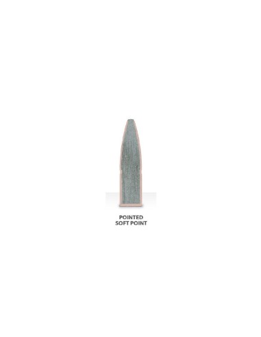 remington cal 7mm rm 150gr psp