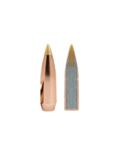 remington 17 hmr accupip v-bt 17gr (50 unid) 2