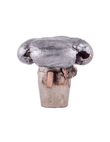 federal 270 wsm 136gr terminal ascent