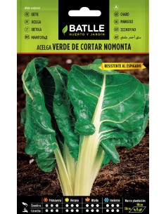 acelga verde cortar s. nomonta