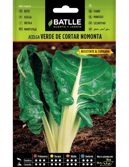 acelga verde cortar s. nomonta