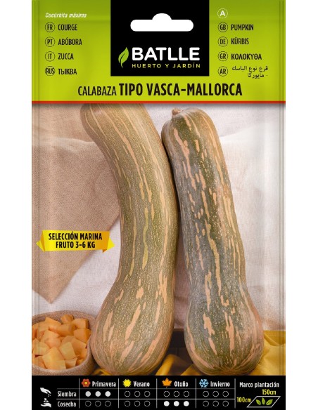 calabaza tipo vasca-mallorca s. marina