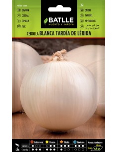 cebolla grande tardia  de lerida