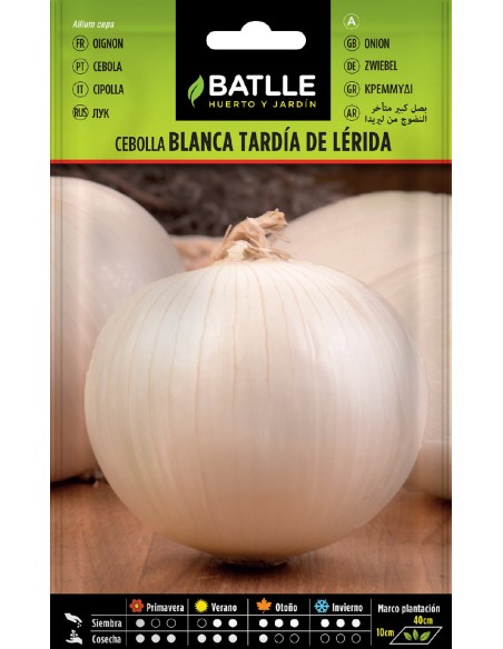 cebolla grande tardia  de lerida