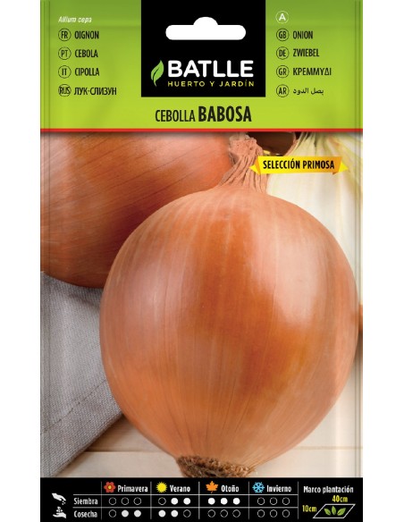 cebolla babosa selcc. primosa