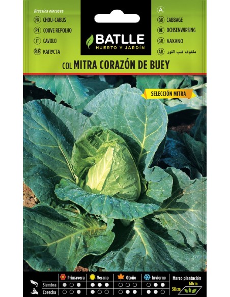 col mitra corazon de buey s.mitra