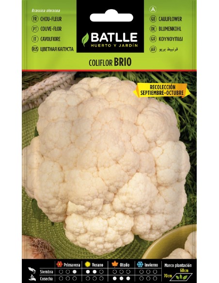 coliflor brio