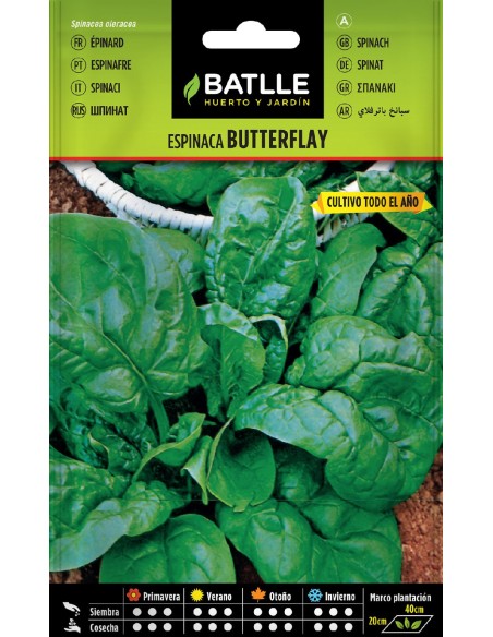 espinaca butterflay