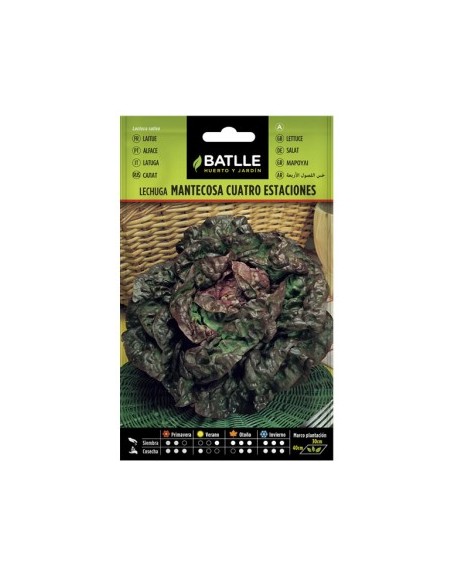 lechuga maravilla cuatro estaciones