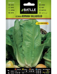 lechuga valladolid s. puzela