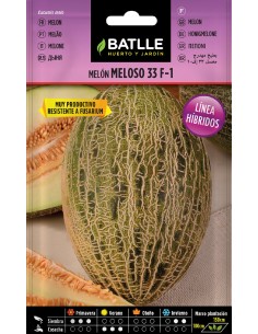 melon hibrido meloso 33 f-1