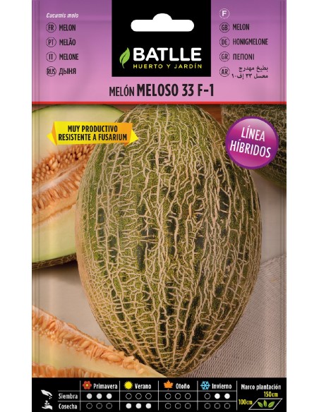 melon hibrido meloso 33 f-1