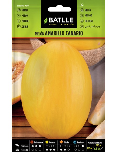 melon amarillo canario