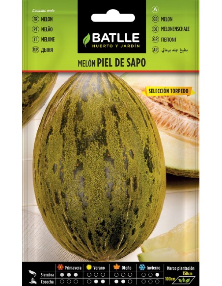 melon piel de sapo s.torpedo