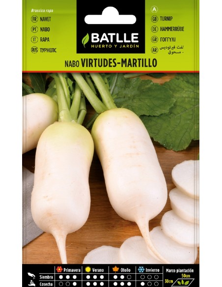nabo virtudes-martillo