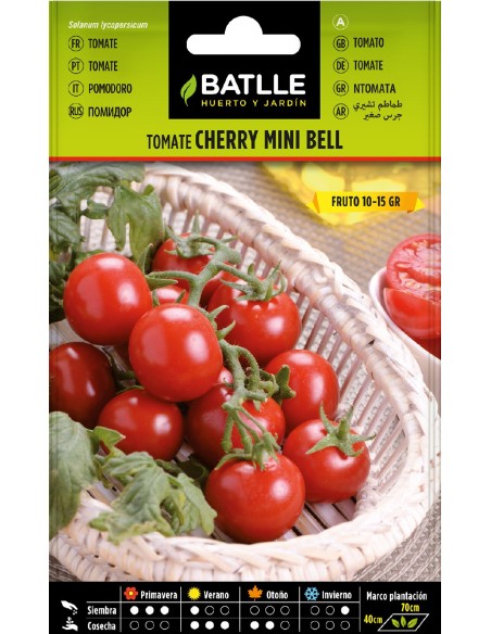 tomate cherry mini bell