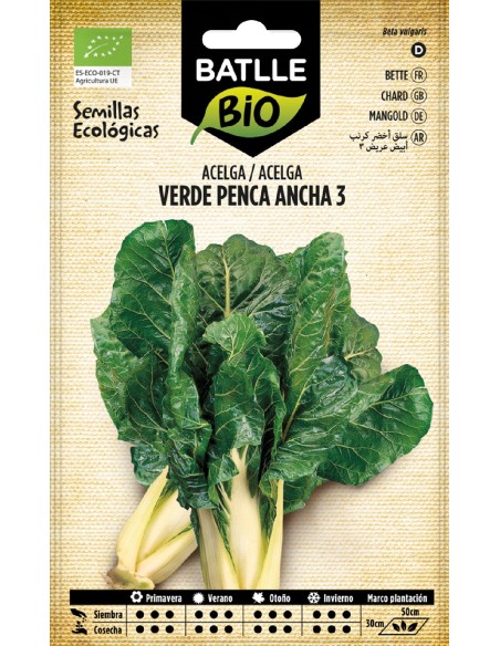 acelga verde penca ancha 3 -b eco