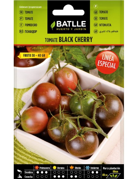 tomate black cherry