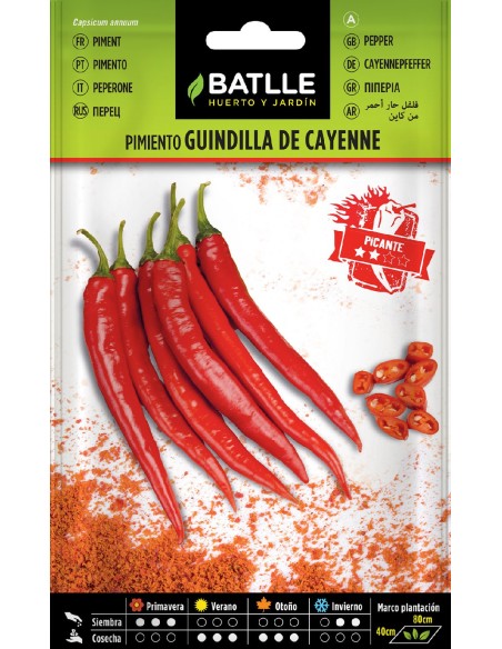 pimiento guindilla de cayenne, rojo