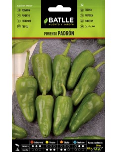 pimiento padron