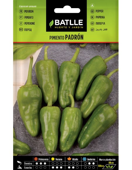 pimiento padron